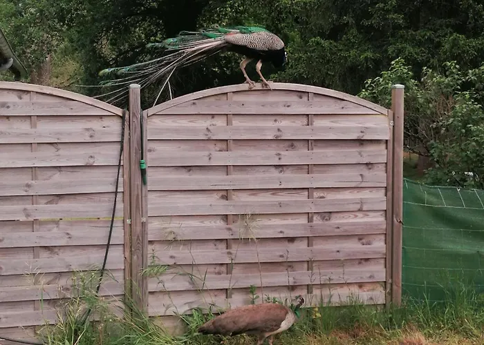 D'hotes 1 - Retro - Un Refuge A Oda ve Kahvaltı 3*