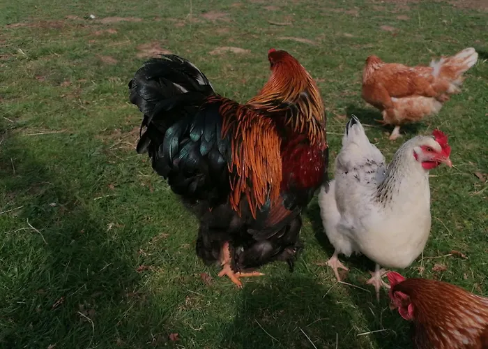 Bed & Breakfast D'hotes 1 - Retro - Un Refuge A 3*